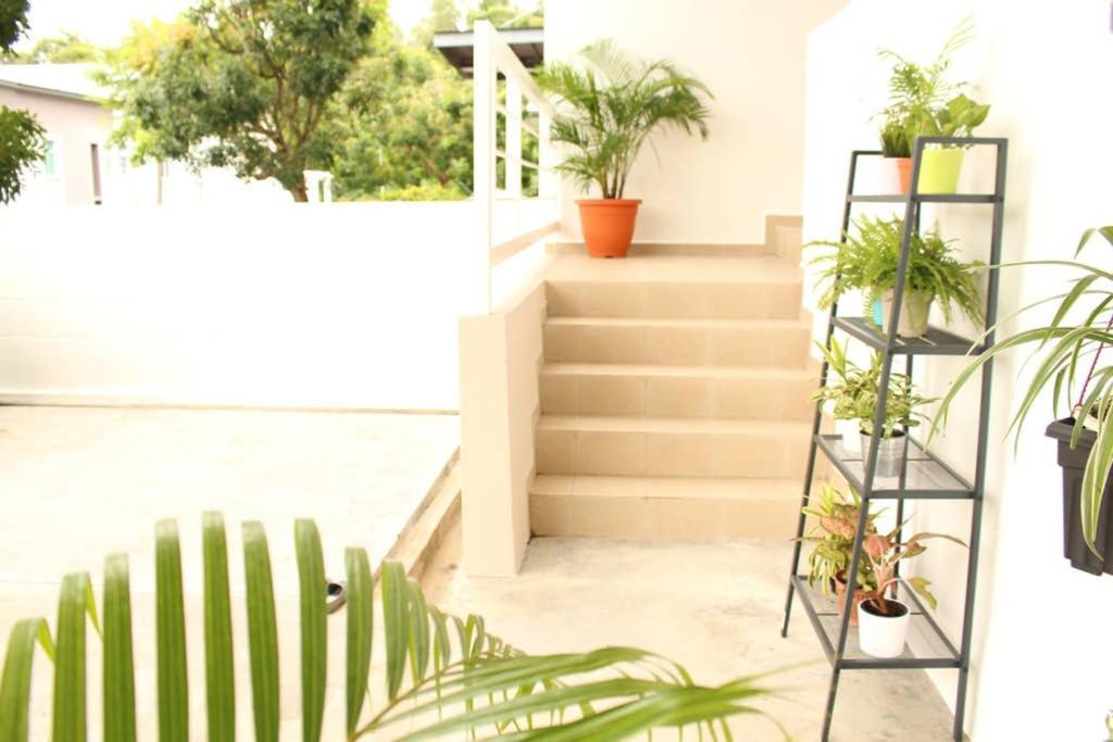 טנג'ונג בונגא New Seaview Cozy Modern Beach House מראה חיצוני תמונה